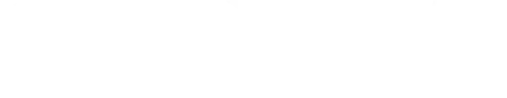 GSL Railway GmbH Logo weiss